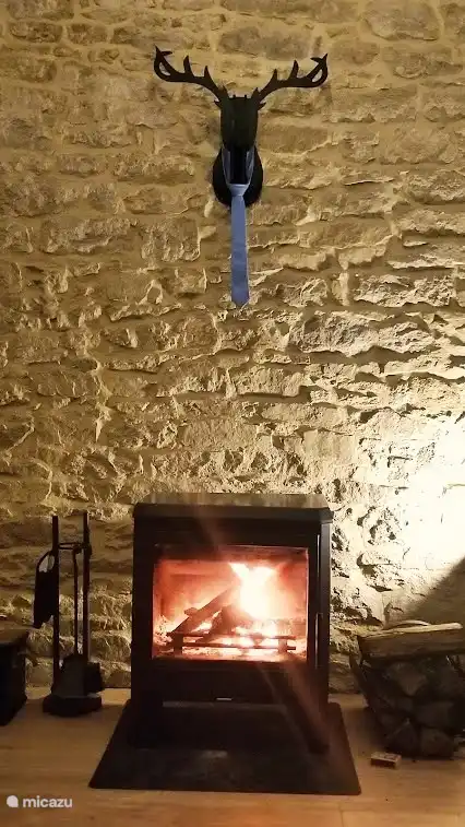 Holzofen mit kostenlosem Holz.