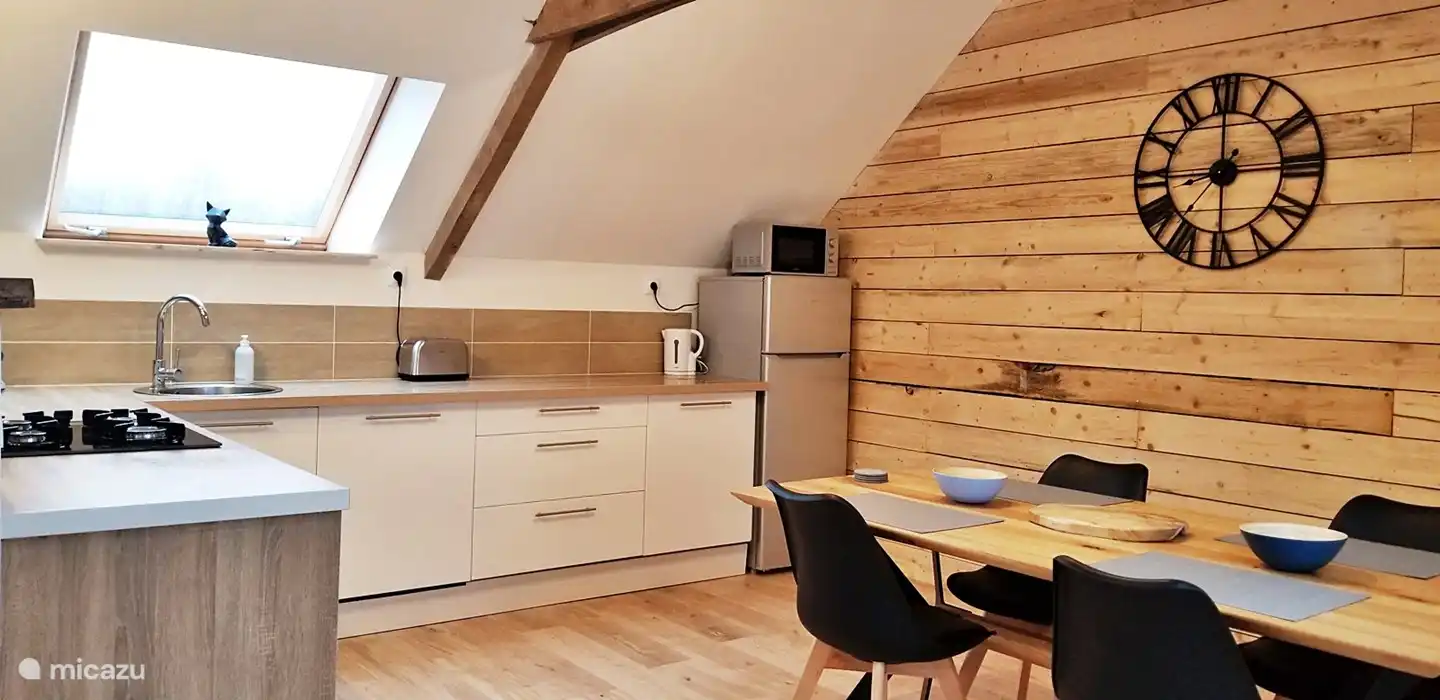 große offene Küche mit allen Geräten