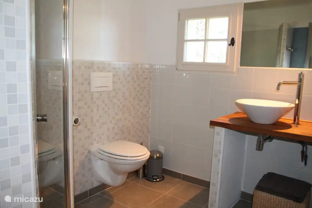 Cuarto de baño con ducha y WC