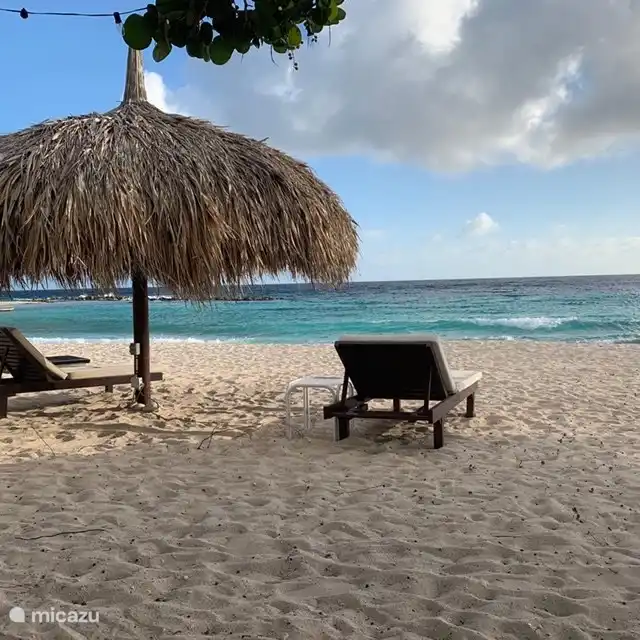A menos de 5 minutos en automóvil desde el apartamento, ya se encuentra en una de las muchas hermosas playas y bahías de Curaçao.