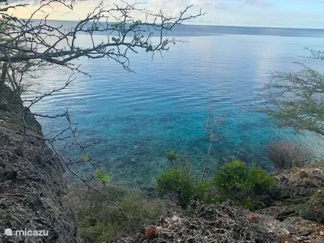 maravillosa naturaleza