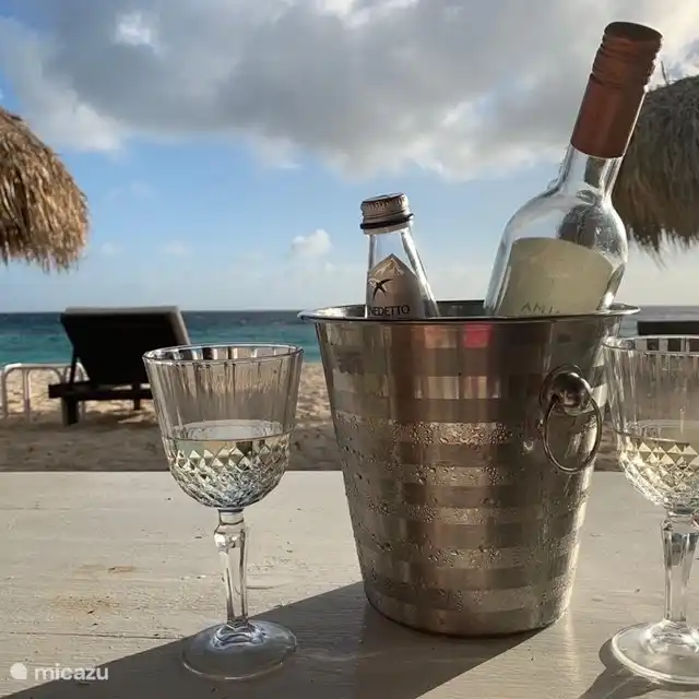 Relajándose en la playa