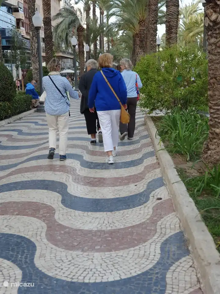 Disfrute de un paseo por el bulevar Explanada de España con el hermoso suelo de mosaico y palmeras en Alicante.