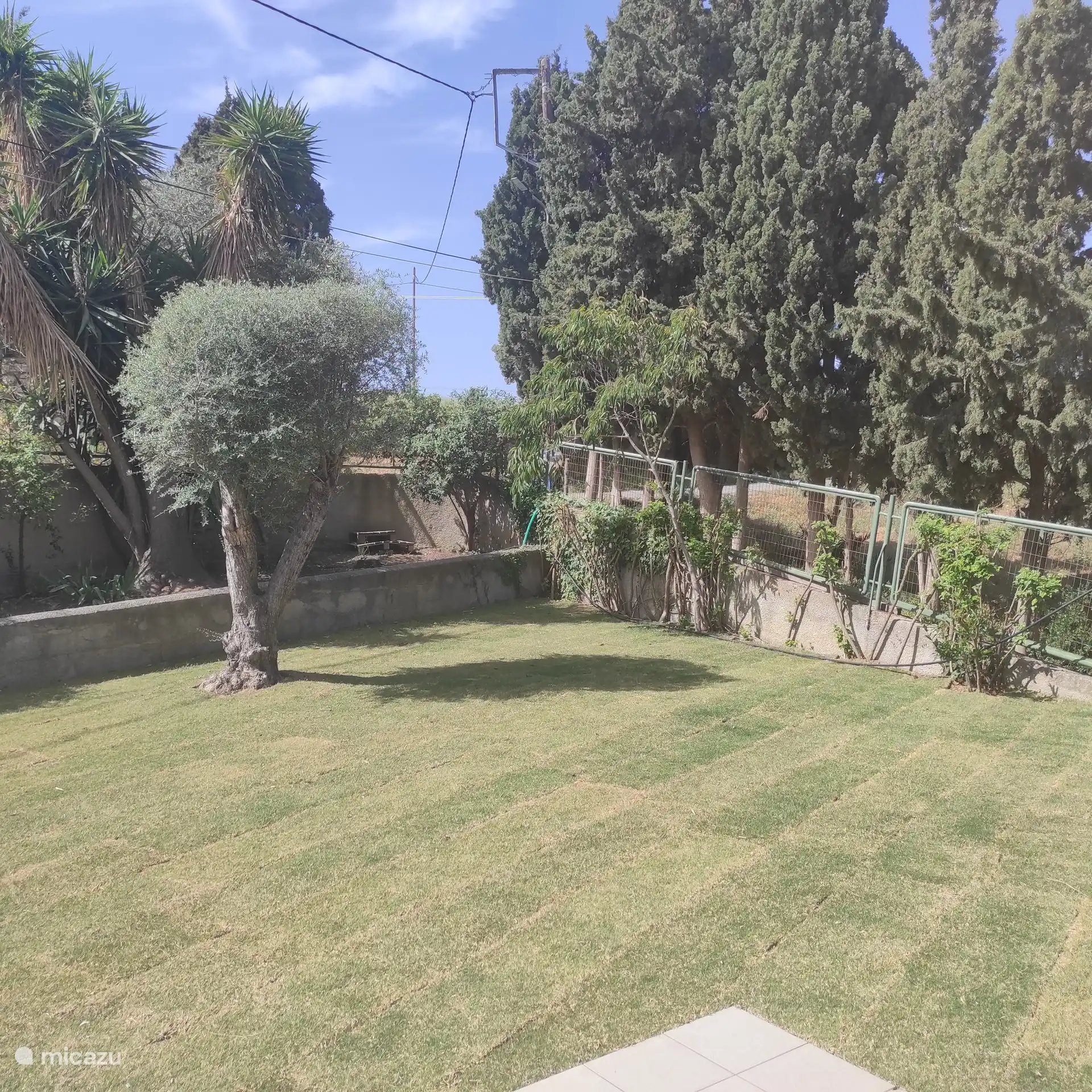 Jardín en la parte trasera con vistas a la montaña.