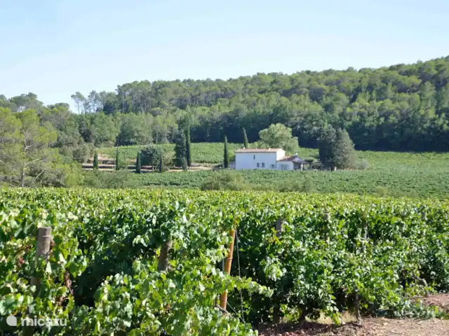 Bastide Poulailler | France, Var, Lorgues - villa Le Poulailler