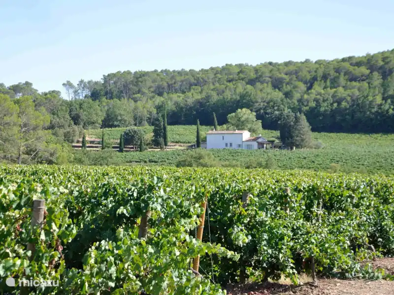 Bastide Poulailler | France, Var, Lorgues - Villa Bastide Poulailler | France, Var, Lorgues - Villa