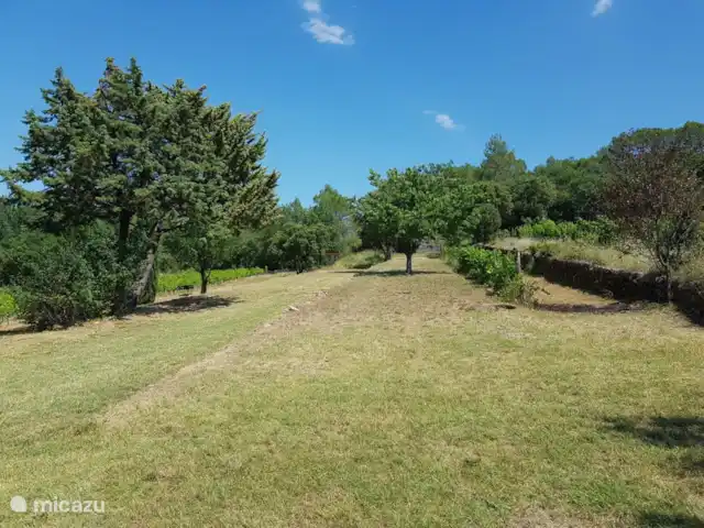 Bastide Poulailler | France, Var, Lorgues - villa Jardin