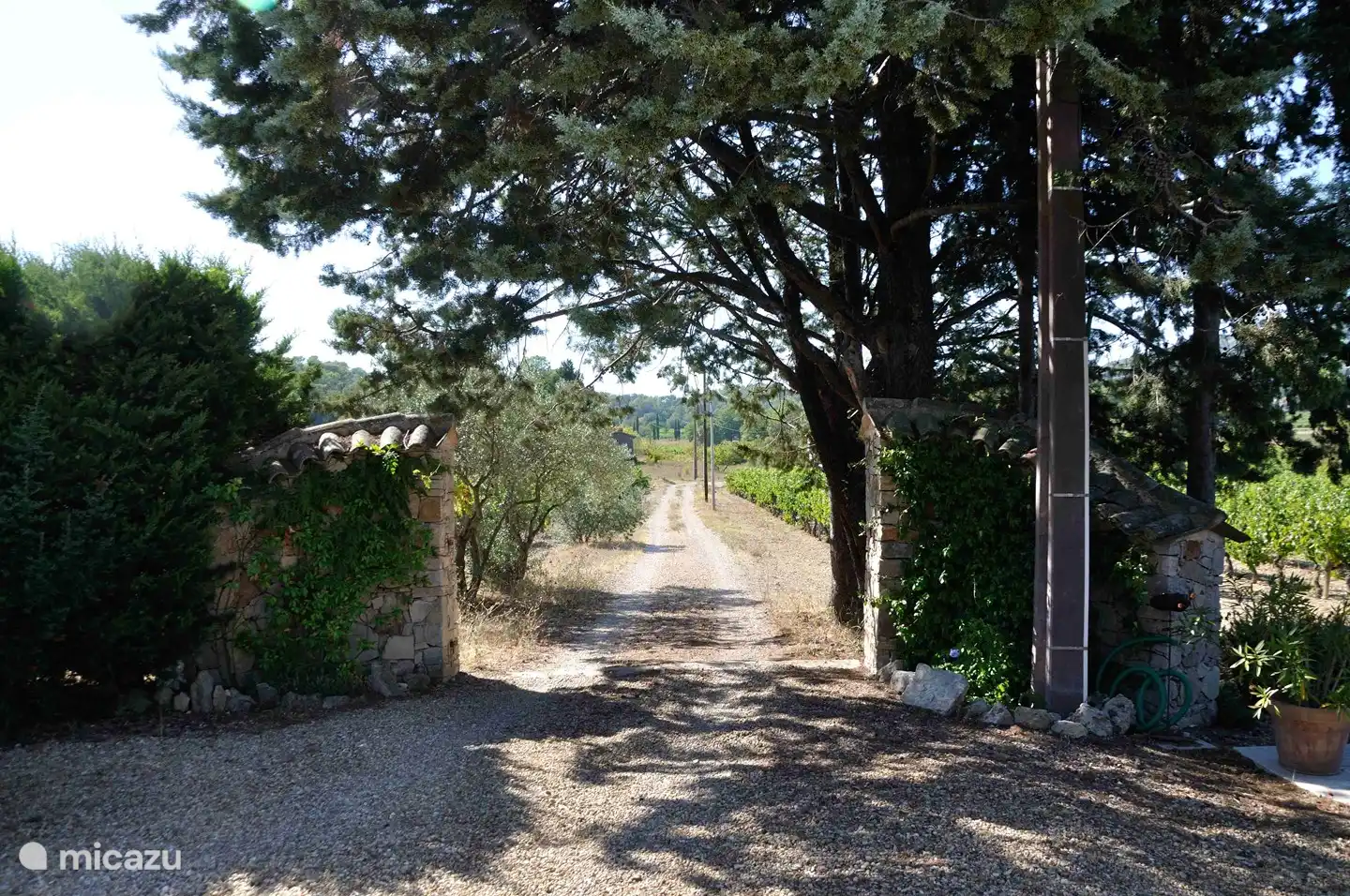 Zicht vanaf de entree