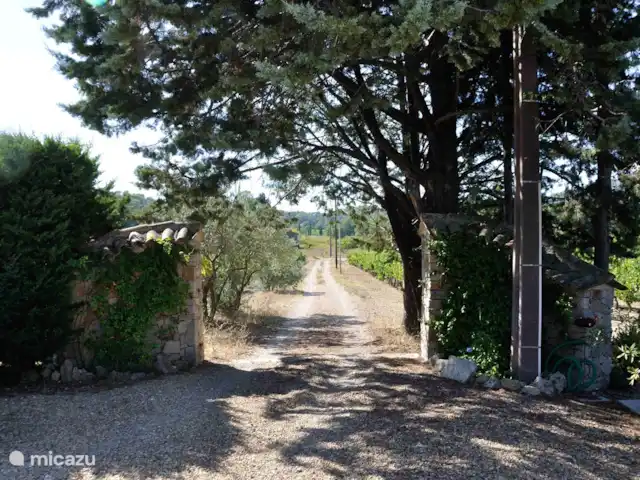 Bastide Poulailler | France, Var, Lorgues - villa Vue depuis l’entrée