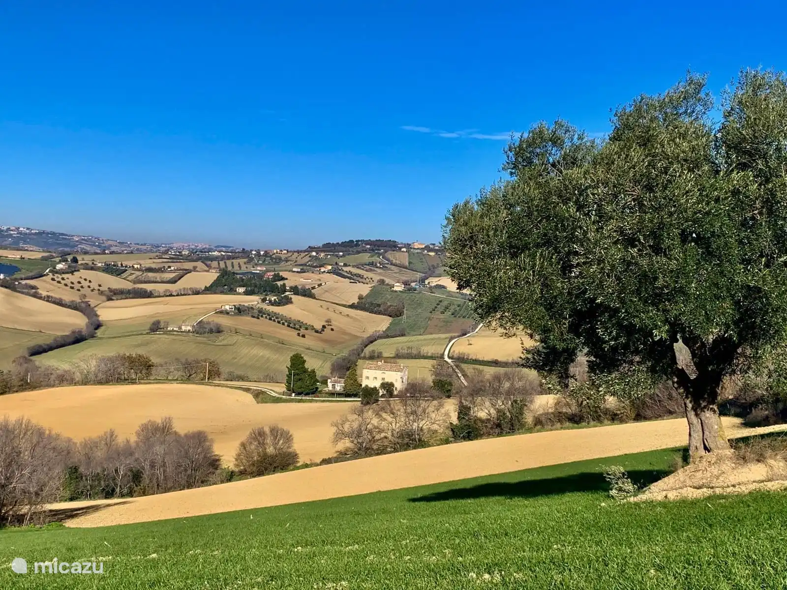 Lage des Hauses zwischen den Collini