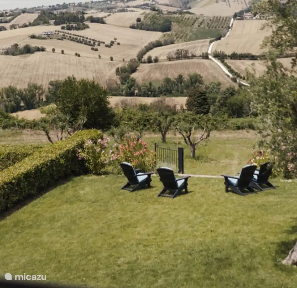 Blick auf einen der Olivenhaine rund um das Haus