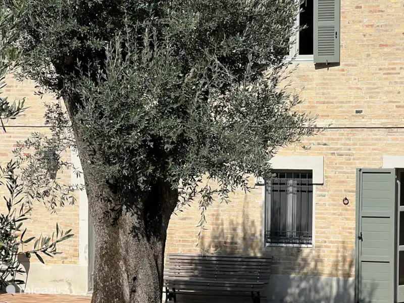 Casa Celestino al Mare | Italie, Marche, Montecosaro - Villa Casa Celestino al Mare | Italie, Marche, Montecosaro - Villa