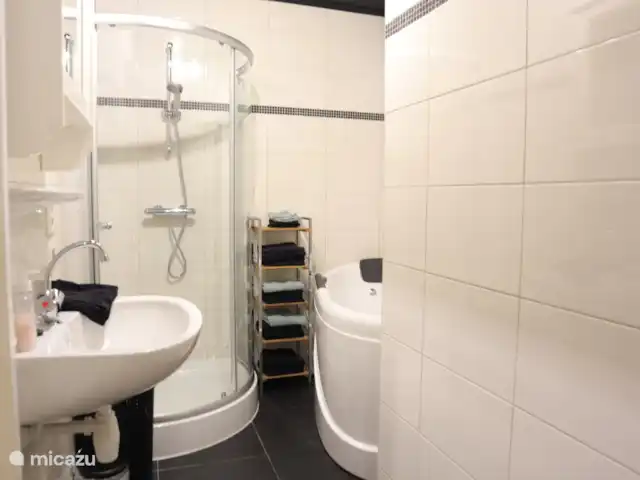 Casa Boschlust en Países Bajos, Güeldres, Hulshorst (Veluwemeer) - bungaló ¡Instalaciones sanitarias modernas con cabina de ducha y bañera de hidromasaje!