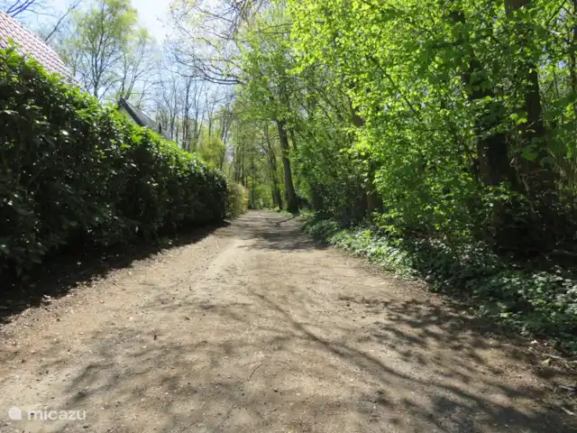 Casa Boschlust en Países Bajos, Güeldres, Hulshorst (Veluwemeer) - bungaló ¡Desde la cabaña puedes caminar directamente hacia el bosque!