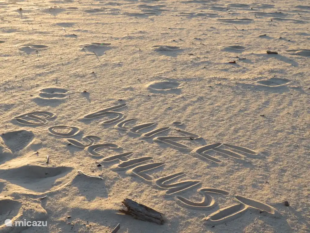 Auf nur 700 Metern können Sie direkt auf die Sandverwehung 'Het Hulshorsterzand' laufen!