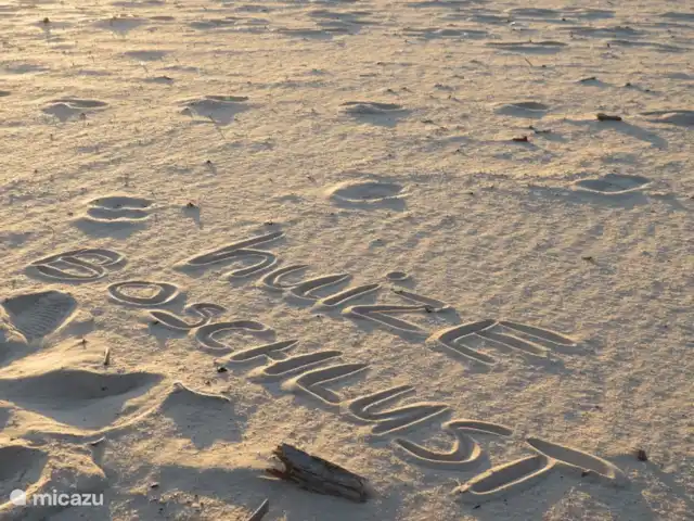 Casa Boschlust en Países Bajos, Güeldres, Hulshorst (Veluwemeer) - bungaló ¡A solo 700 metros puede caminar directamente hacia la playa de arena 'Het Hulshorsterzand'!