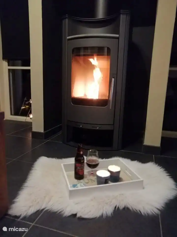 Mit dem stimmungsvollen Kamin wird jeder Abend gemütlich!