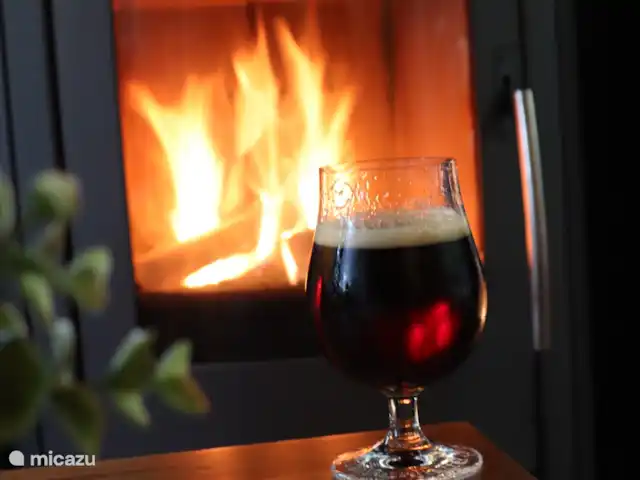 Casa Boschlust en Países Bajos, Güeldres, Hulshorst (Veluwemeer) - bungaló ¡Después de un maravilloso paseo, relajarse junto a la chimenea no es un castigo! La madera se suministra durante su estancia.