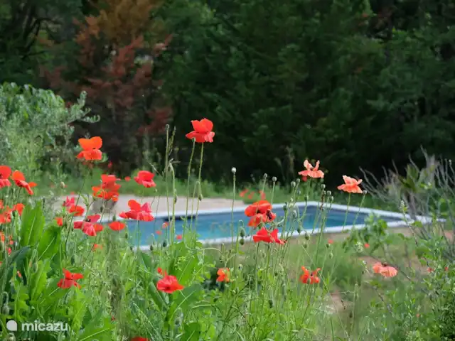 L'aile - avec piscine privée | France, Var, Lorgues - gîte / cottage