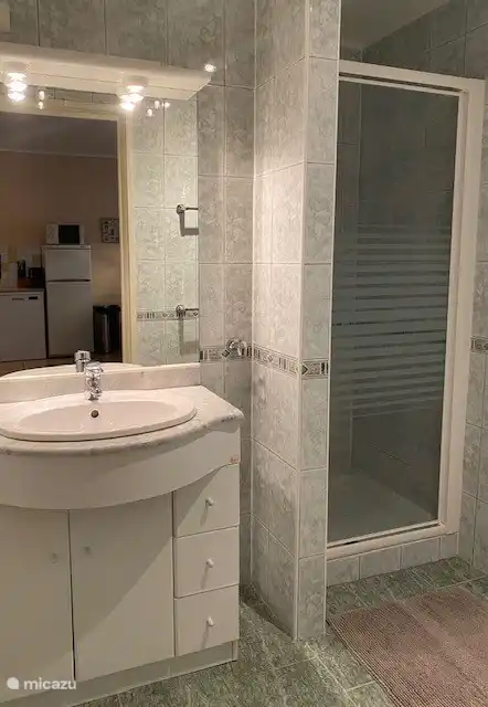 Salle de bain avec douche