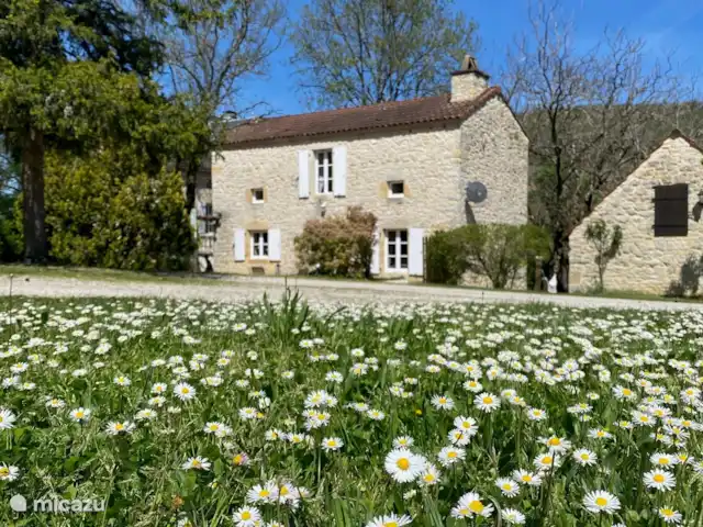 Location de Vacances France, Dordogne, Degagnac, maison de vacances - La Chouette Location de Vacances France, Dordogne, Degagnac, maison de vacances - La Chouette