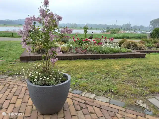 Location de Vacances Pays-Bas, Utrecht, Wijk bij Duurstede, maison de vacances - Lieu unique sur l'eau Notre cour avant en regardant les bateaux