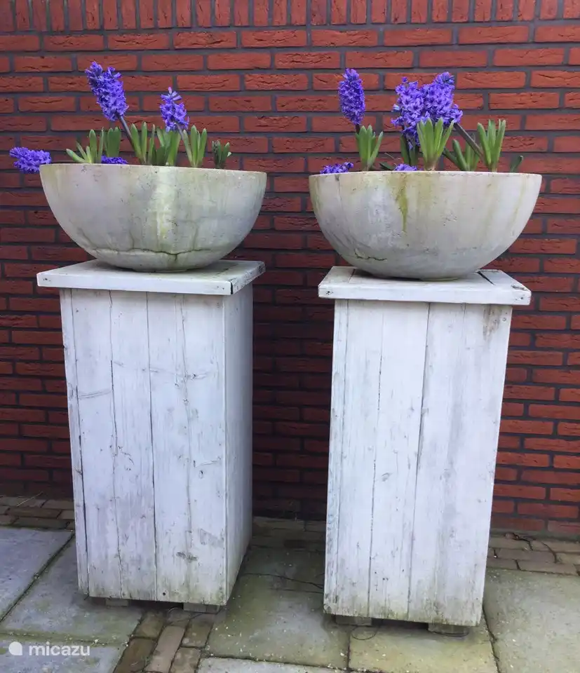 Die schönen Blumentöpfe, die das ganze Jahr über mit Blumen gefüllt sind.