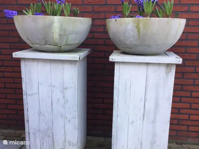 Location de Vacances Pays-Bas, Utrecht, Wijk bij Duurstede, maison de vacances - Lieu unique sur l'eau Les beaux pots de fleurs qui sont remplis de fleurs toute l'année.