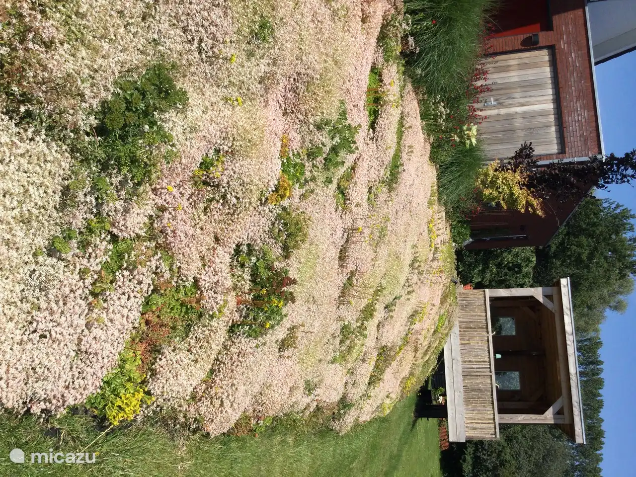 Unsere blühende Piste