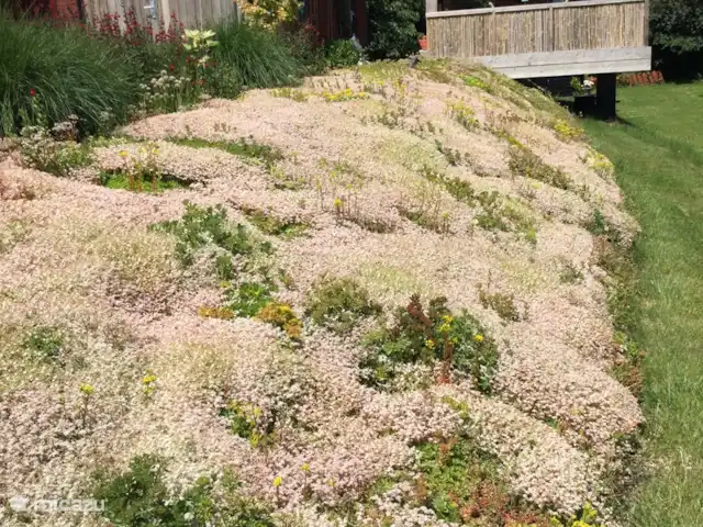 Location de Vacances Pays-Bas, Utrecht, Wijk bij Duurstede, maison de vacances - Lieu unique sur l'eau Notre talus fleuri