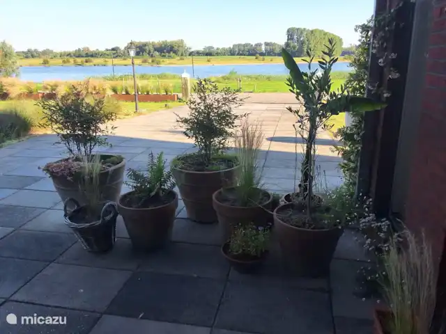 Location de Vacances Pays-Bas, Utrecht, Wijk bij Duurstede, maison de vacances - Lieu unique sur l'eau Terrasse