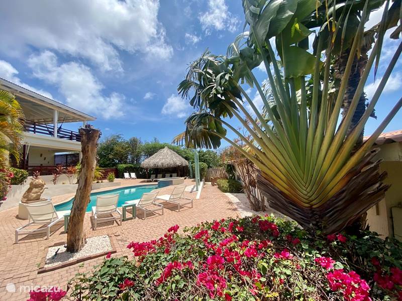Holiday home in Curaçao, Banda Ariba (East), Jan Thiel Holiday house Holiday Villa Micazu Curacao 25 p