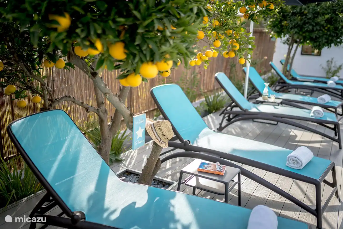 moderne Liegen, die in der Sonne oder für mehr Schatten unter einem Obstbaum stehen.