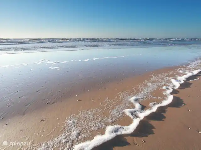 Le plus bel endroit de Noordwijk | Pays-Bas, Hollande méridionale, Noordwijk - maison de vacances plage avec mer.
