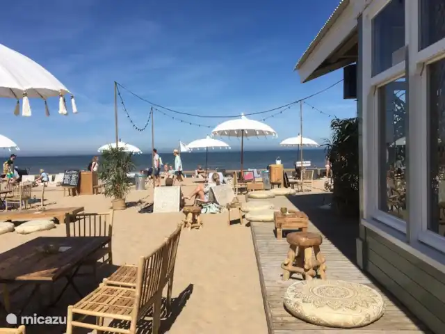 Le plus bel endroit de Noordwijk | Pays-Bas, Hollande méridionale, Noordwijk - maison de vacances Il y a de nombreux pavillons de plage.