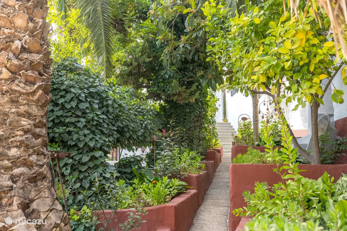 ein Teil unseres Gartens. Wir haben Zitronen, Orangen, Mandarinen.