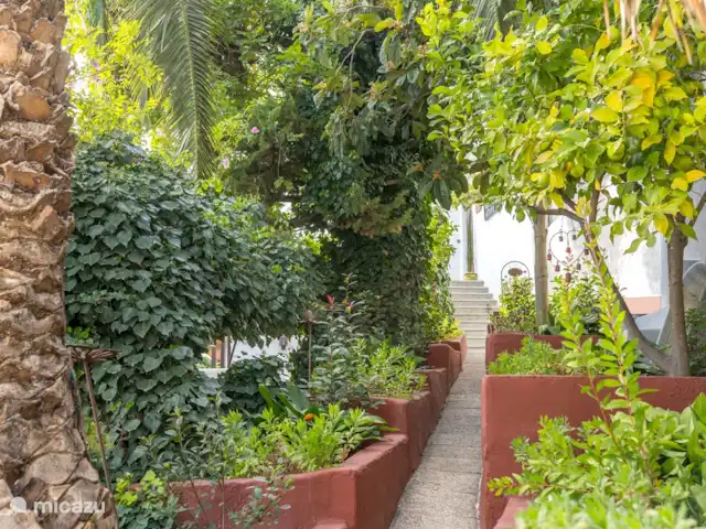 El Valle, casa El Laurel | Espagne, Andalousie, Durcal - maison de vacances partie de notre jardin. nous avons des citrons, des oranges, des mandarines.