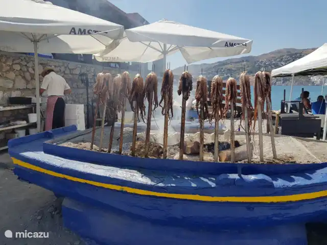 El Valle, casa El Laurel | Espagne, Andalousie, Durcal - maison de vacances la nourriture fraîche est préparée sur la plage, sur des charbons dans des bateaux. non seulement agréable à voir, mais certainement aussi à apprécier.