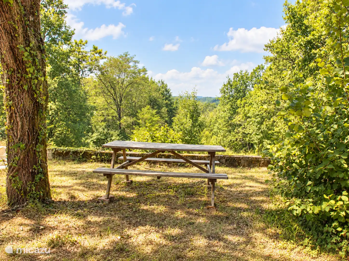 Ein ruhiger Platz im Schatten für ein Picknick oder einen Moment für sich selbst.