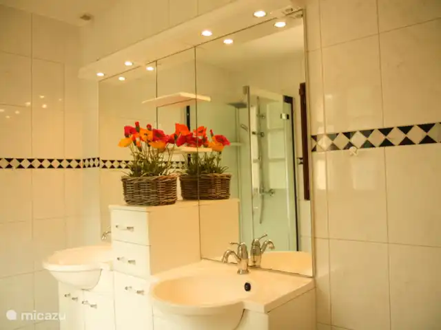 Le Rege huren in Frankrijk, Lot, Pontcirq - vakantiehuis Badkamer