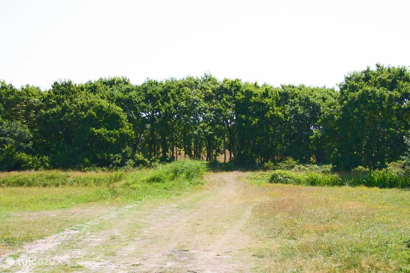 Umgebung des Cottages