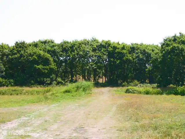 Kruisweg 5 H110 | Pays-Bas, Hollande du Nord, Callantsoog - maison de vacances Aux alentours du gîte