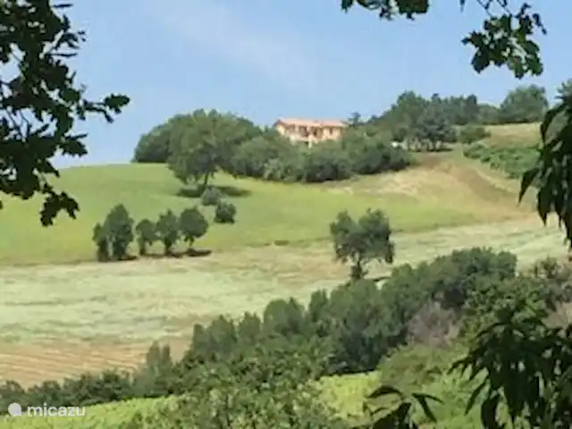 Villa San Vitale Bed & Breakfast 2p huren in Italië, Marche, San Lorenzo In Campo - bed & breakfast Villa San Vitale is volledig omringd door natuur