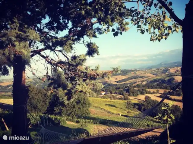 Villa San Vitale Bed & Breakfast 2p huren in Italië, Marche, San Lorenzo In Campo - bed & breakfast Heerlijk vertoeven in de 2 persoons-hangmat