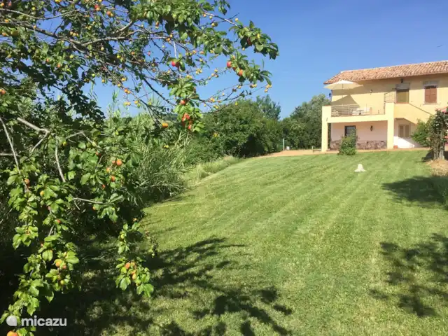 Villa San Vitale Bed & Breakfast 2p huren in Italië, Marche, San Lorenzo In Campo - bed & breakfast Zonnig aangezicht vanuit de voorkant