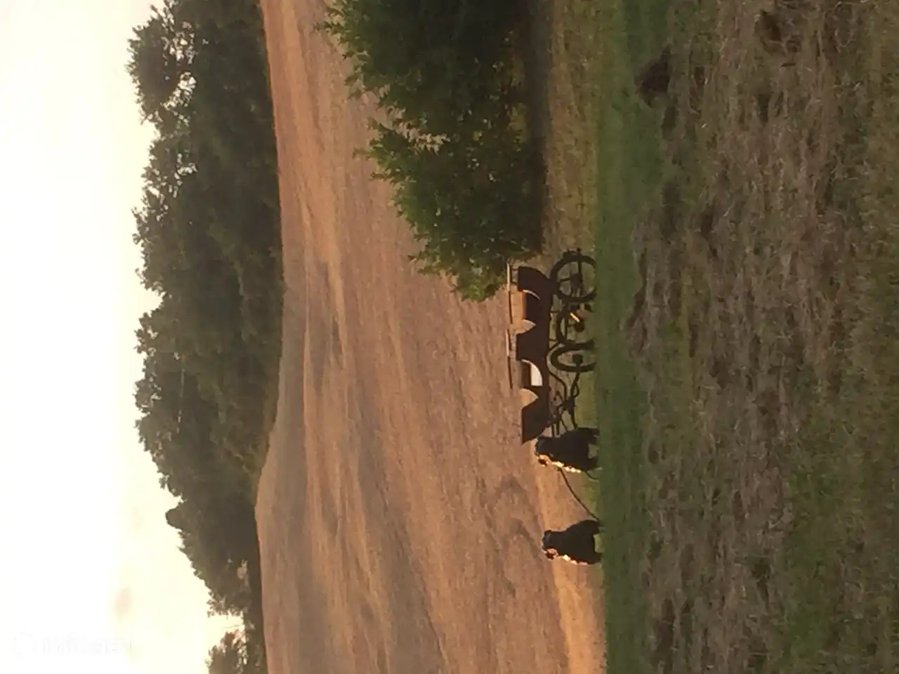 Cielo del atardecer en el patio trasero de Villa San Vitale