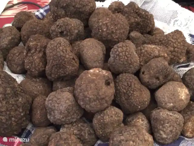 Villa San Vitale Bed & Breakfast 2p huren in Italië, Marche, San Lorenzo In Campo - bed & breakfast Er wordt hier in de Marche ook veel truffel gebruikt in de Machigiane keuken. Op markten vindt u allerlei authentiek gemaakte producten uit de streek