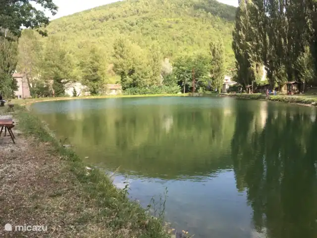 Villa San Vitale Bed & Breakfast 2p huren in Italië, Marche, San Lorenzo In Campo - bed & breakfast Juweeltjes in de buurt van Villa San Vitale: visvijver in de buurt van San Anna