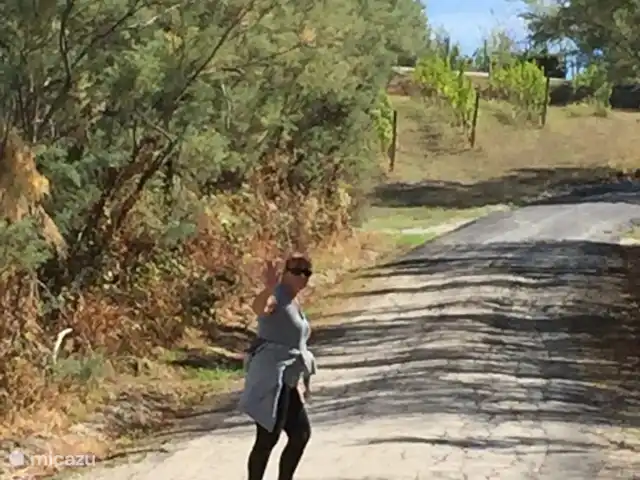 Villa San Vitale Bed & Breakfast 2p huren in Italië, Marche, San Lorenzo In Campo - bed & breakfast Juweeltjes in de buurt van Villa San Vitale: rondlopen in de buurt van Villa San Vitale naar het stadje Montalfoglio