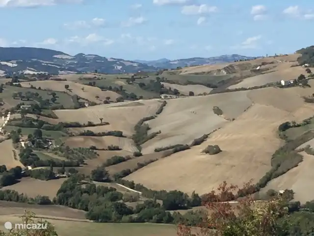 Villa San Vitale Bed & Breakfast 2p huren in Italië, Marche, San Lorenzo In Campo - bed & breakfast Juweeltjes in de buurt van Villa San Vitale: rondlopen in de buurt van Villa San Vitale naar het stadje Montalfoglio